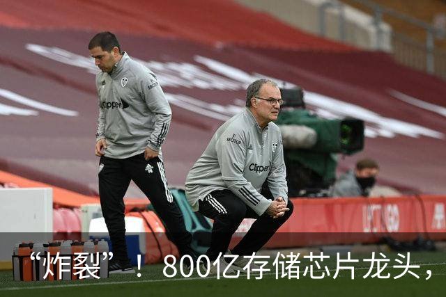 “炸裂”！800亿存储芯片龙头，第三季度净利润增长超2900%