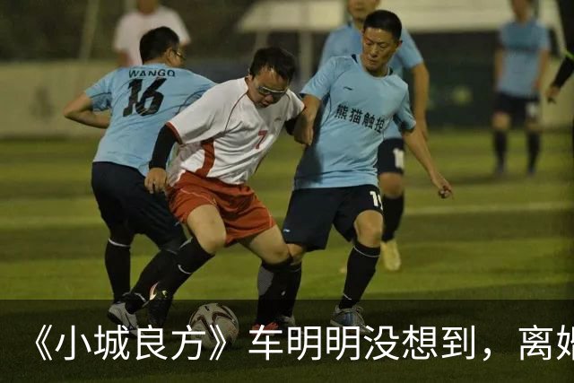 《小城良方》车明明没想到，离婚远走，却促成陈俊南平步青云