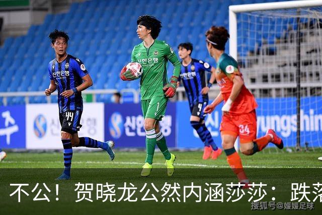 不公！贺晓龙公然内涵莎莎：跌落河北一姐之位，背后竟遭遇网络黑恶势力攻击