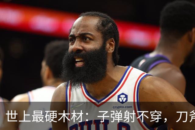世上最硬木材：子弹射不穿，刀斧劈不烂，却被我国大量收购