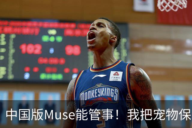 中国版Muse能管事！我把宠物保单、双11算价和周末旅行全交给了灵光2.0