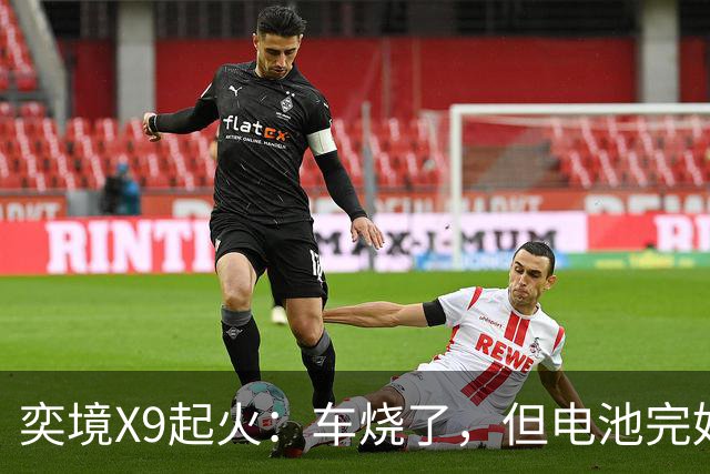 奕境X9起火：车烧了，但电池完好，这事就值得掰扯了