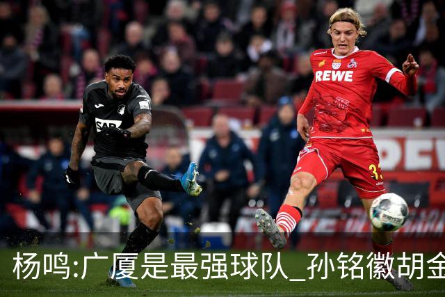 杨鸣:广厦是最强球队 孙铭徽胡金秋同位置顶级