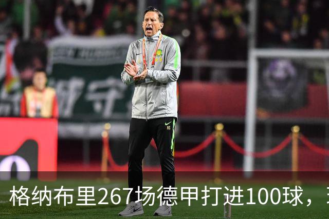 格纳布里267场德甲打进100球，现役德甲球员中第三位百球先生