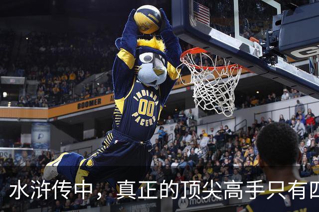 水浒传中，真正的顶尖高手只有四位，林冲、武松之辈也不值一提