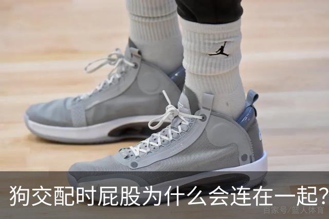 狗交配时屁股为什么会连在一起？是母狗不让，还是公狗不想？