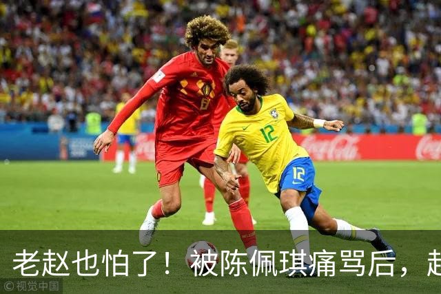老赵也怕了！被陈佩琪痛骂后，赵少康半夜被逼发文道歉，媒体人爆内幕