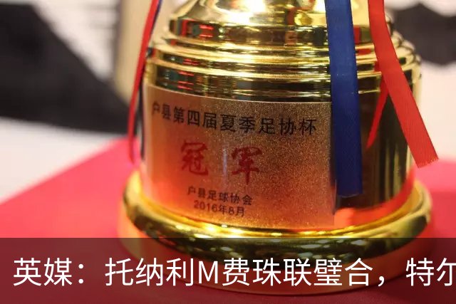 英媒：托纳利M费珠联璧合，特尔等热刺青年才俊展现强大潜力