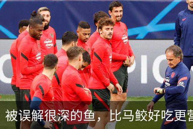 被误解很深的鱼，比马鲛好吃更营养，鱼肉似“千层糕”，我国独有