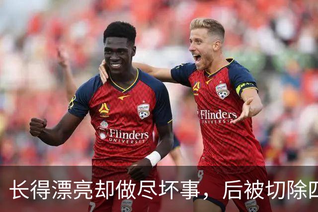 长得漂亮却做尽坏事，后被切除四个器官，就连小十五岁老公也出轨