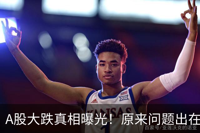 A股大跌真相曝光！原来问题出在这……