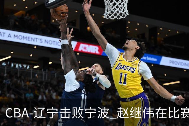CBA-辽宁击败宁波 赵继伟在比赛中