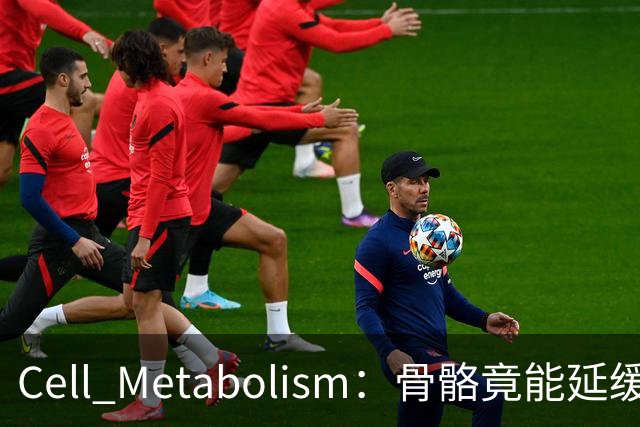 Cell Metabolism：骨骼竟能延缓衰老、延长寿命！白晓春团队揭示抗衰新机制